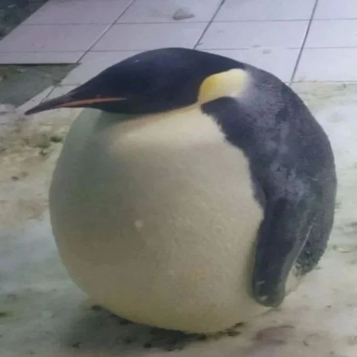 Jan